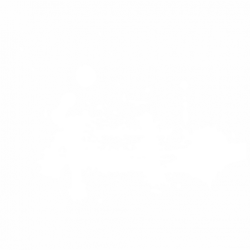 Splash