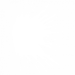 Петно