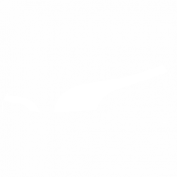 Кец