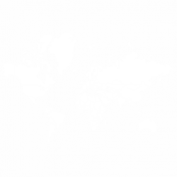 Карта на света