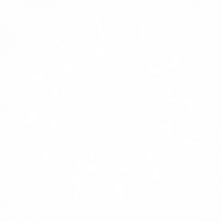 Орнамент