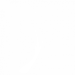 Орнамент