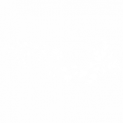 Орнамент