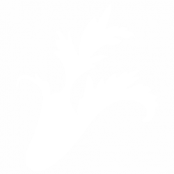 Орнамент