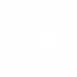 Риба
