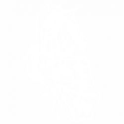 Морско конче
