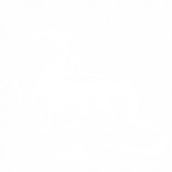 Дракон