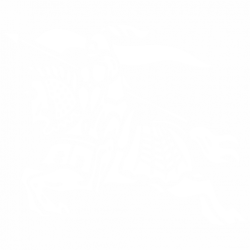 Рицар с кон