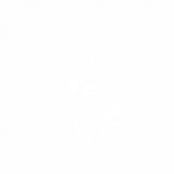 Дракон