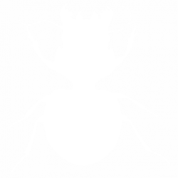 Bug