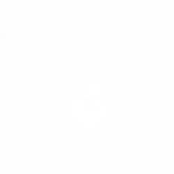 Паяк