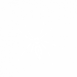 Паяк