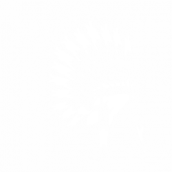 Индиански пера