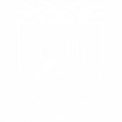 Щит и череп