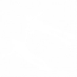 Diver