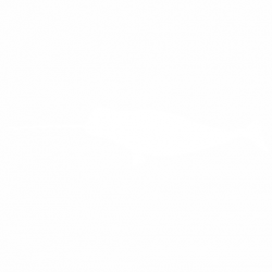 Риба