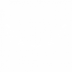 Жито