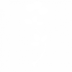 Цвете