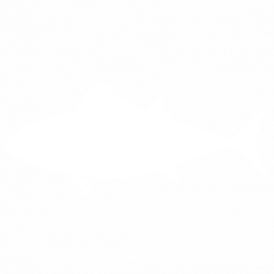 Риба
