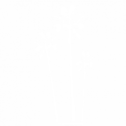 Палми