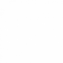 Растения