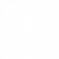 Дърво