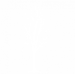 Дърво