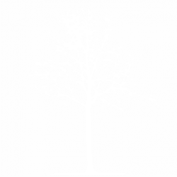 Дърво