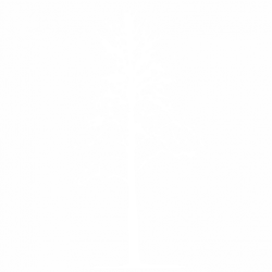 Дърво