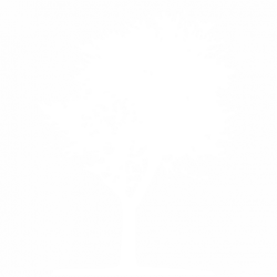 Дърво