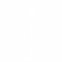 Дърво