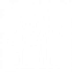 Дървeта