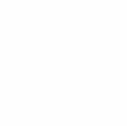 Дърво