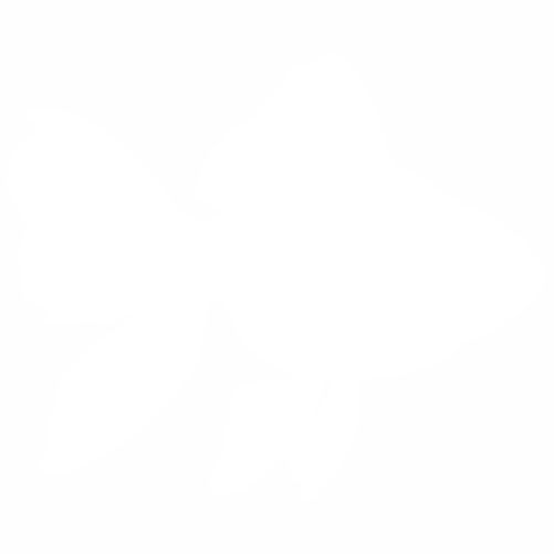Риба