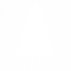 Fir