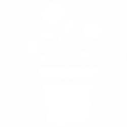 Цветя в саксия