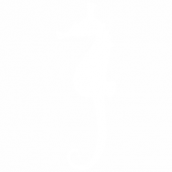 Морско конче