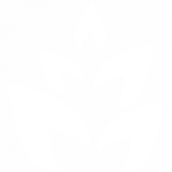 Листа