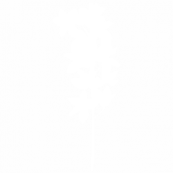 Цвете