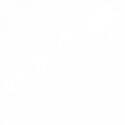 Палми