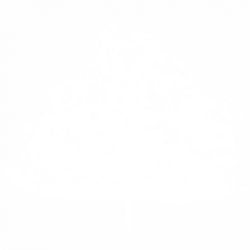Дърво