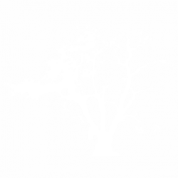 Дърво