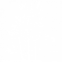 Дърво