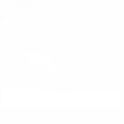 Дърво