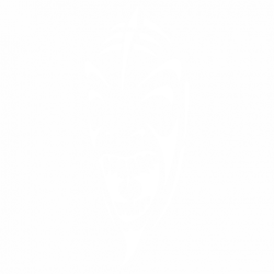 Тату