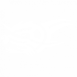 Дракон