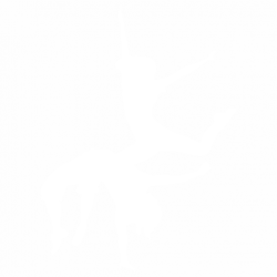 Dancer