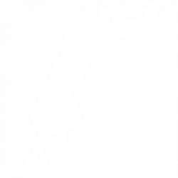Dancer