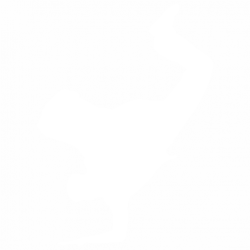 Dancer