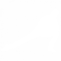 Танцьор